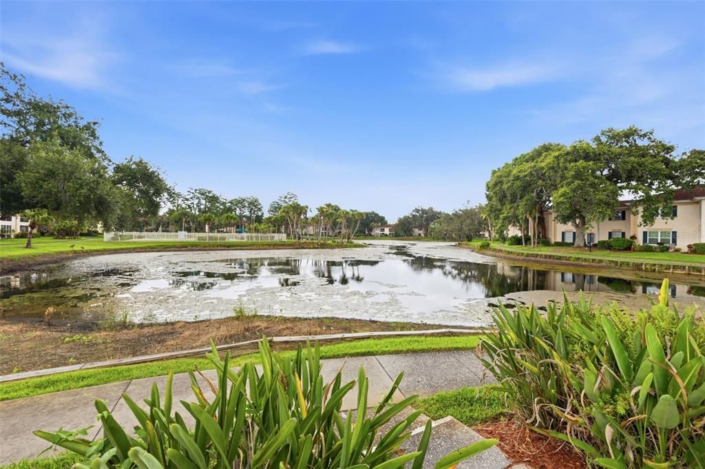 For Sale: $229,500 (1 beds, 1 baths, 934 Square Feet)