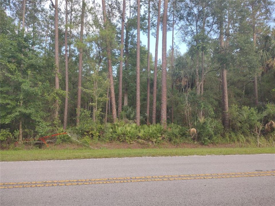 待售: $59,900 (3.01 acres)