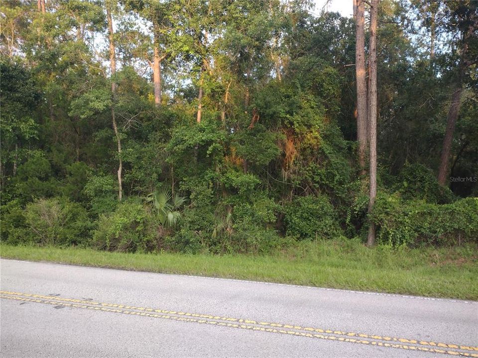 待售: $59,900 (3.01 acres)