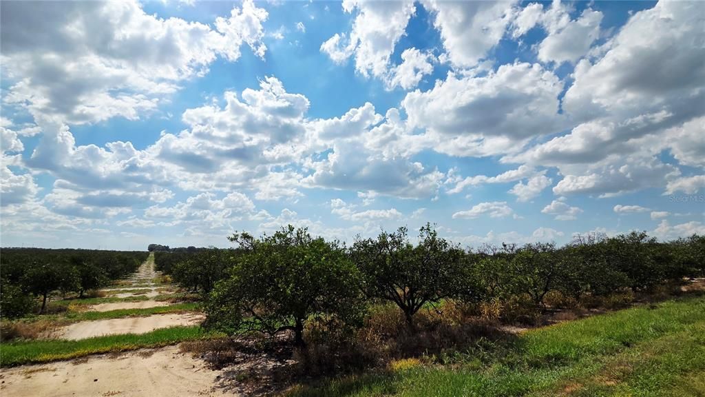 For Sale: $699,000 (35.77 acres)