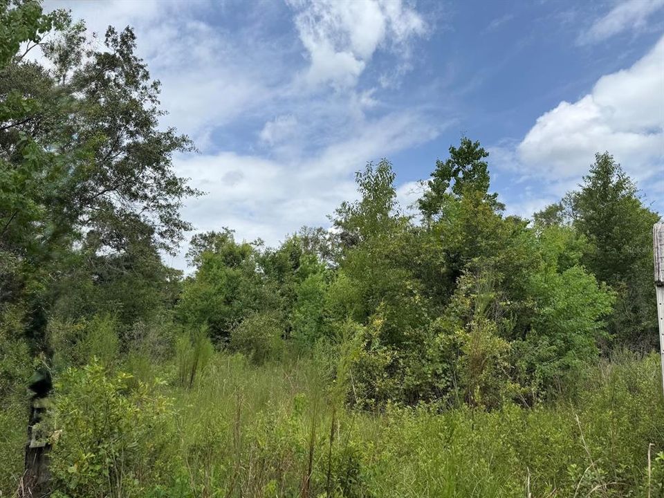 For Sale: $185,000 (34.50 acres)