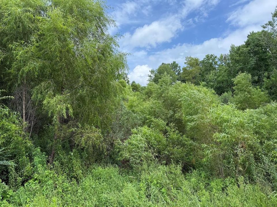 For Sale: $185,000 (34.50 acres)