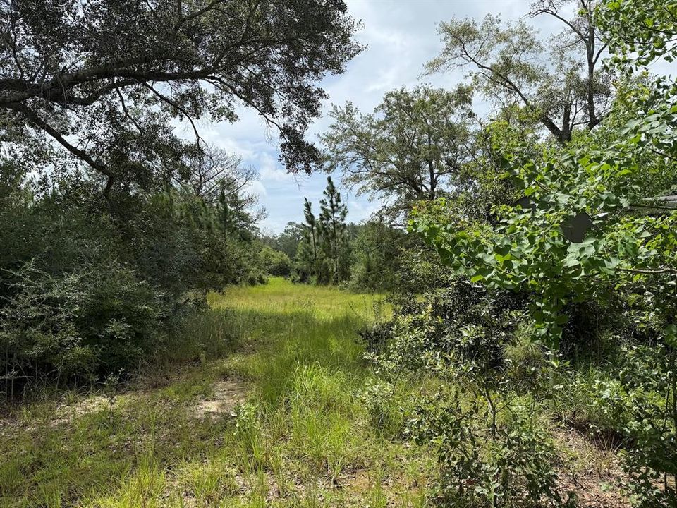 For Sale: $185,000 (34.50 acres)