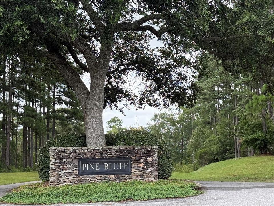 For Sale: $185,000 (34.50 acres)
