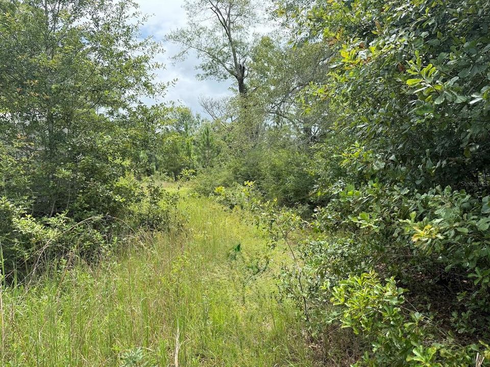 For Sale: $185,000 (34.50 acres)