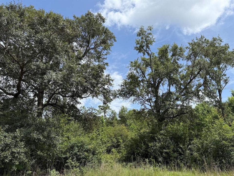 For Sale: $185,000 (34.50 acres)