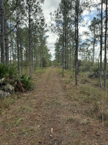 For Sale: $15,000 (1.25 acres)
