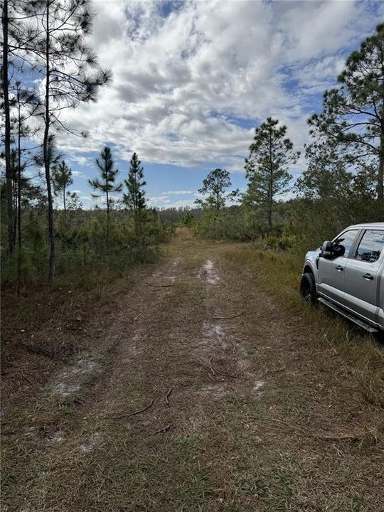 For Sale: $15,000 (1.25 acres)