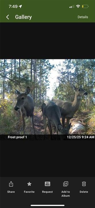 For Sale: $15,000 (1.25 acres)