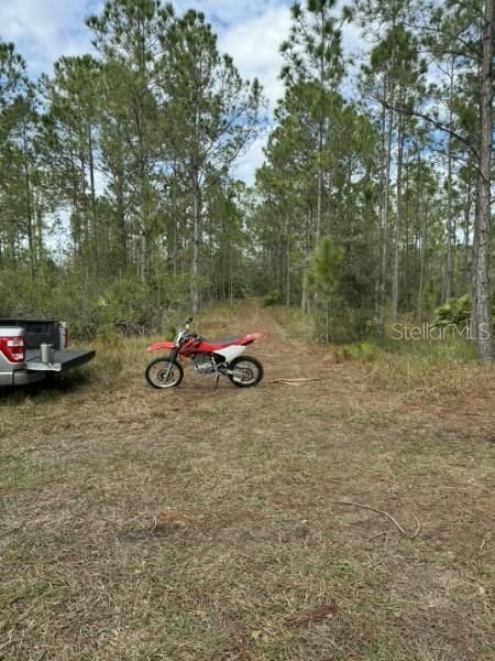 For Sale: $15,000 (1.25 acres)