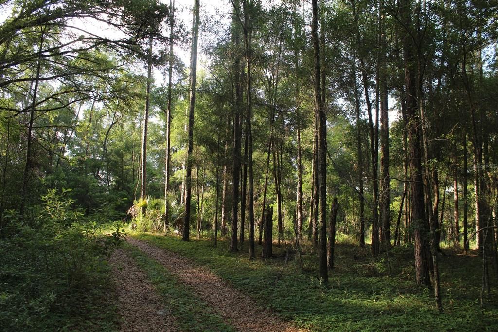 待售: $268,000 (10.00 acres)