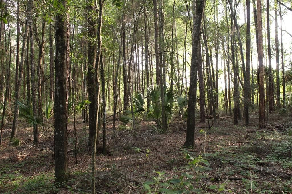 待售: $268,000 (10.00 acres)
