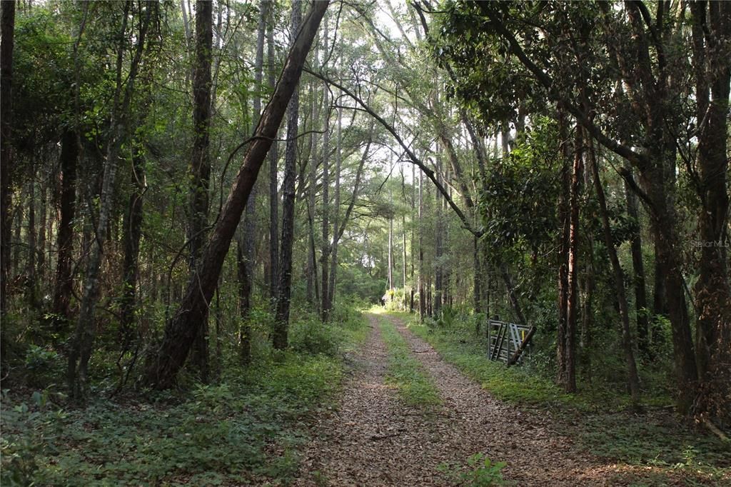 待售: $268,000 (10.00 acres)