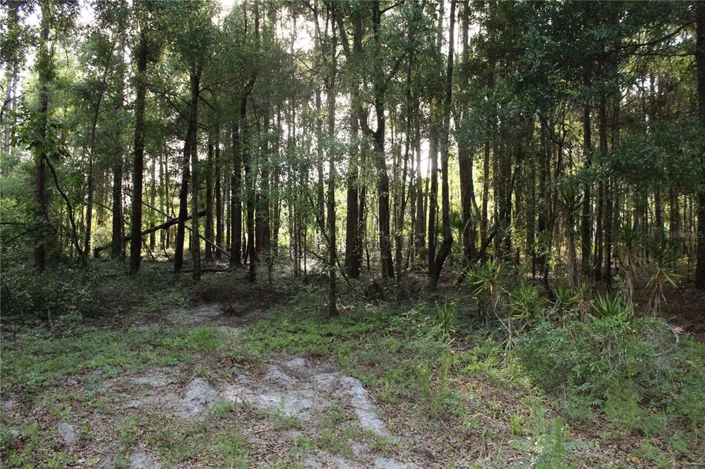 待售: $268,000 (10.00 acres)
