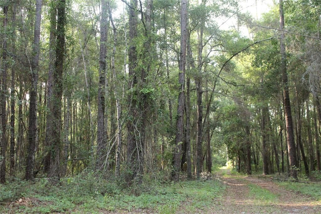 待售: $268,000 (10.00 acres)
