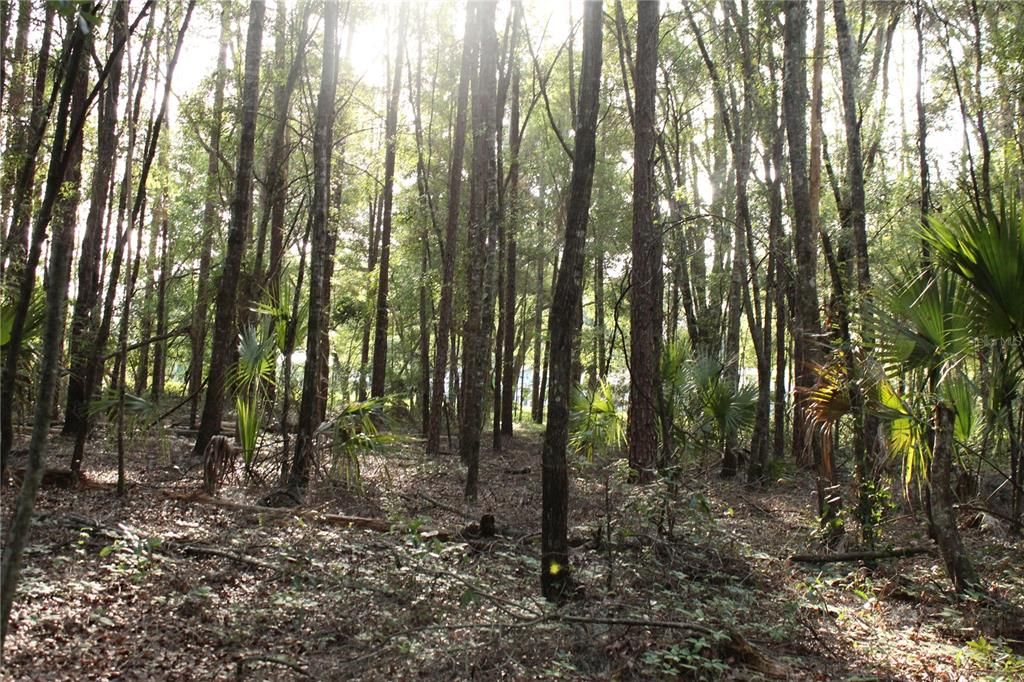 待售: $268,000 (10.00 acres)