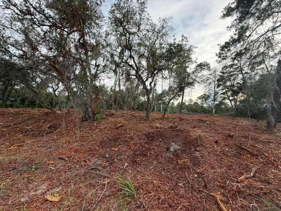 На продажу: $29,900 (0.53 acres)