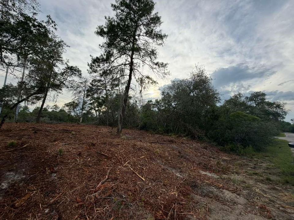 На продажу: $29,900 (0.53 acres)