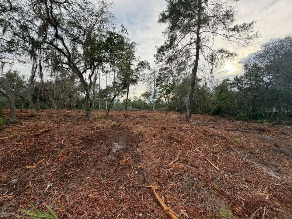 На продажу: $29,900 (0.53 acres)