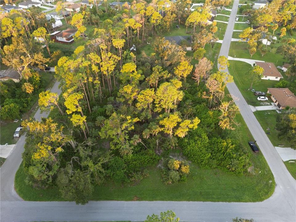 待售: $180,000 (1.55 acres)