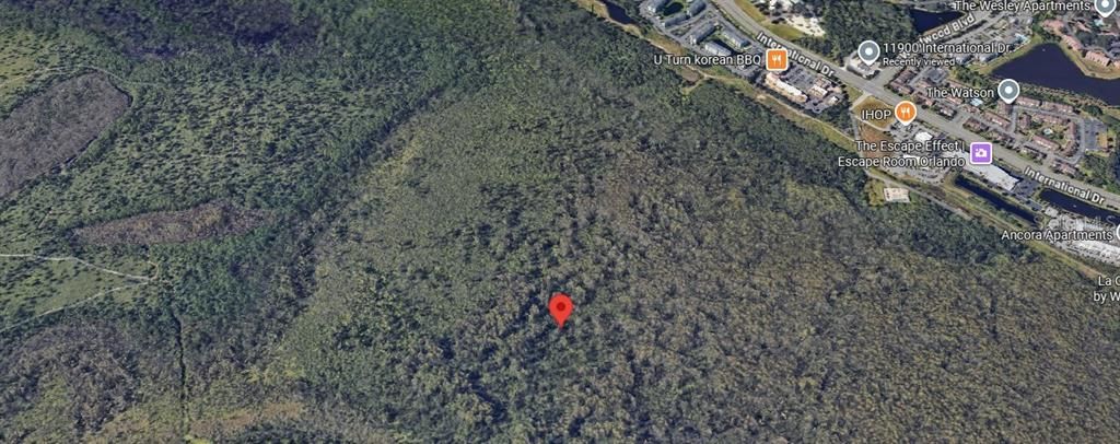 На продажу: $49,000 (1.23 acres)