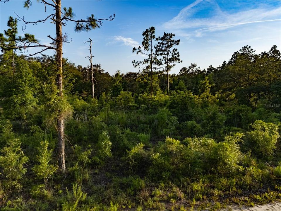En Venta: $26,999 (0.82 acres)
