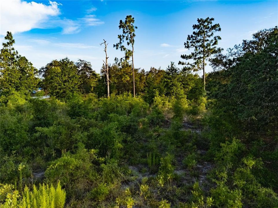 En Venta: $26,999 (0.82 acres)