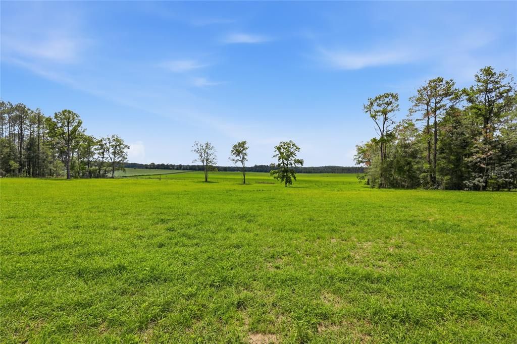 En Venta: $224,900 (5.00 acres)