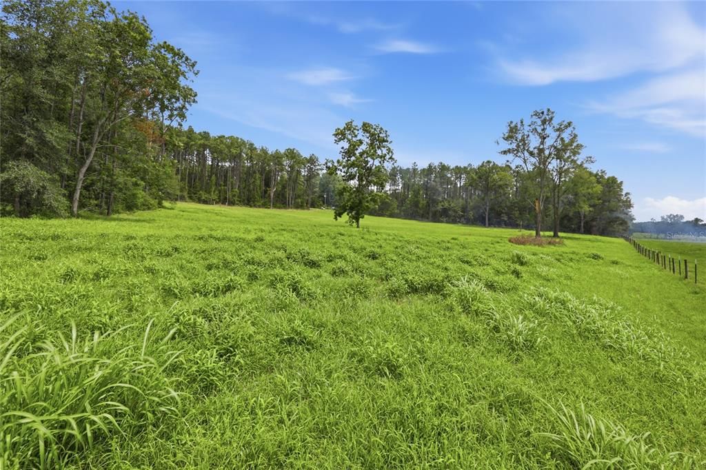 En Venta: $224,900 (5.00 acres)