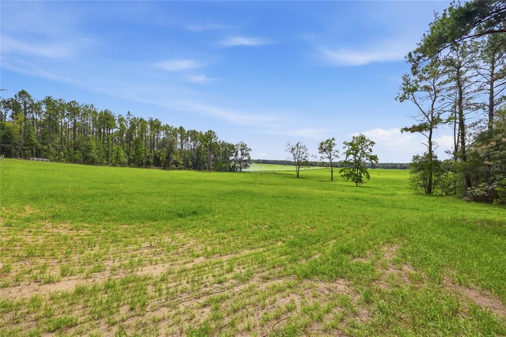En Venta: $224,900 (5.00 acres)