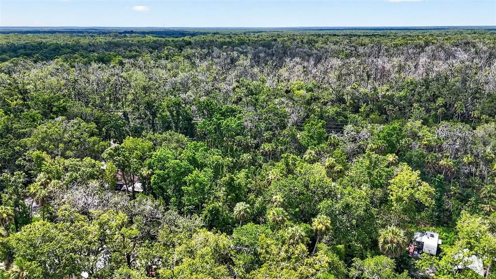 待售: $24,999 (0.33 acres)