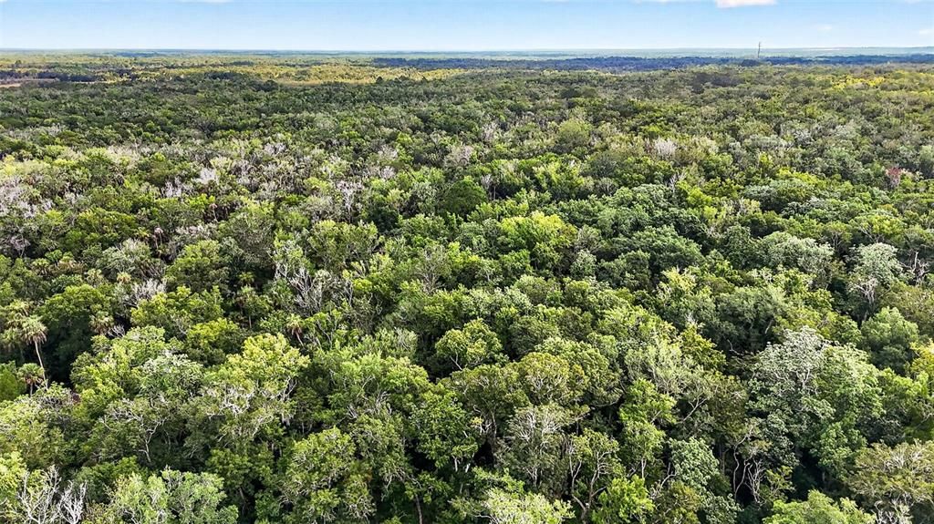 На продажу: $45,000 (0.76 acres)
