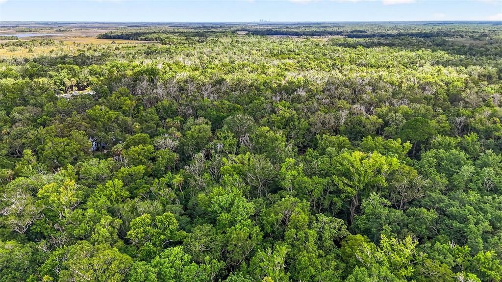 На продажу: $45,000 (0.76 acres)