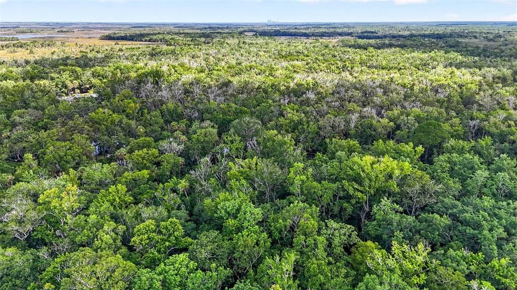 На продажу: $45,000 (0.76 acres)