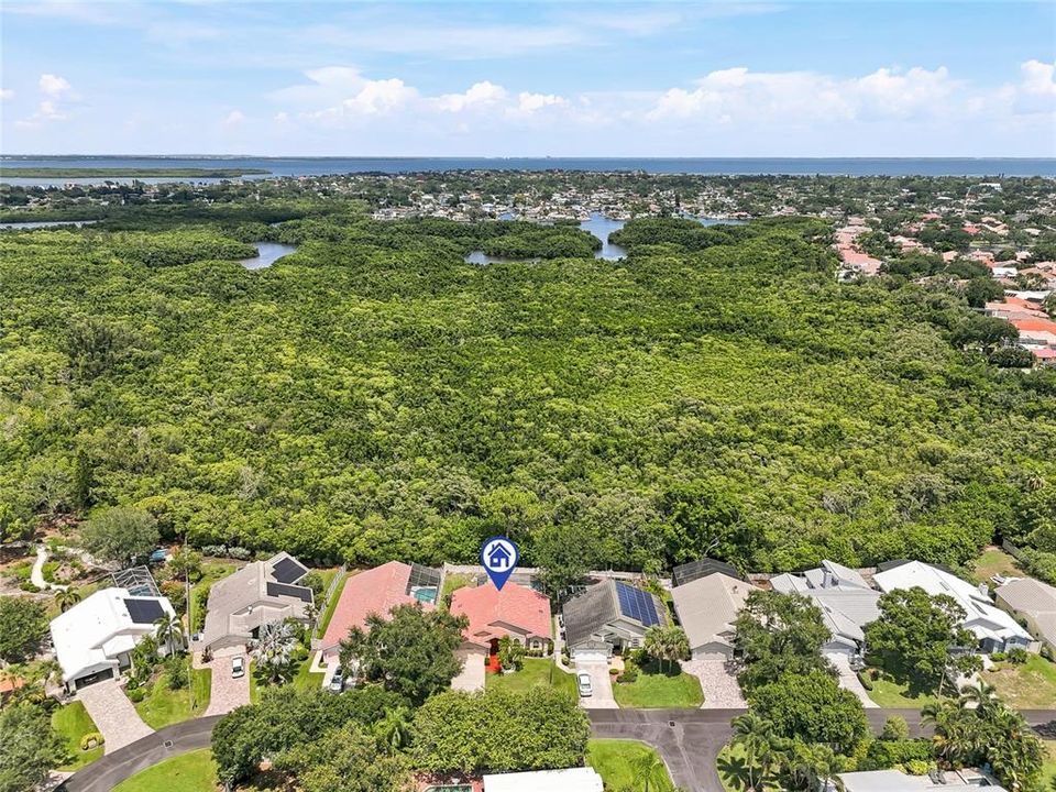 На продажу: $725,000 (3 спален, 2 ванн, 1541 Квадратных фут)
