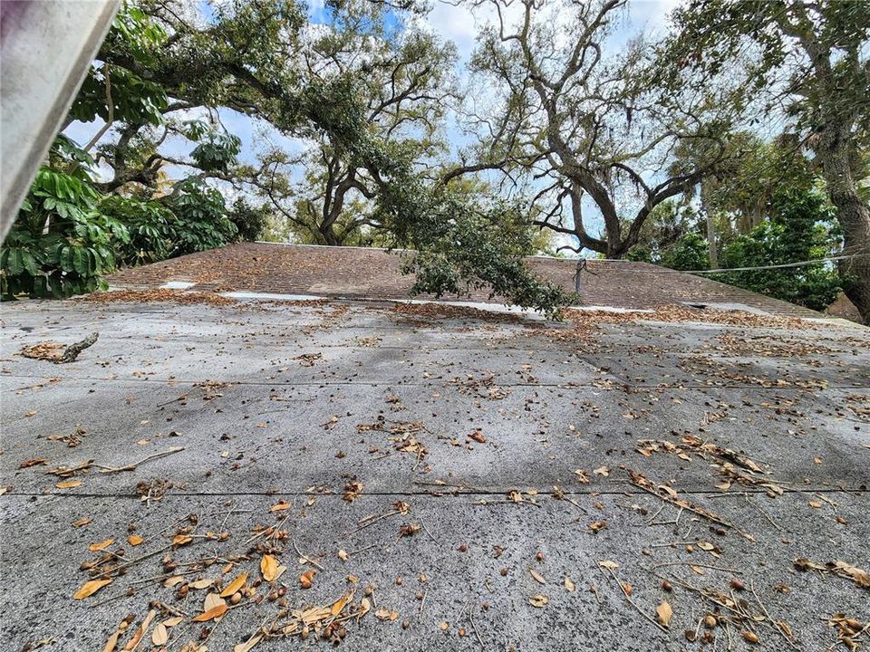 For Sale: $149,000 (0.28 acres)