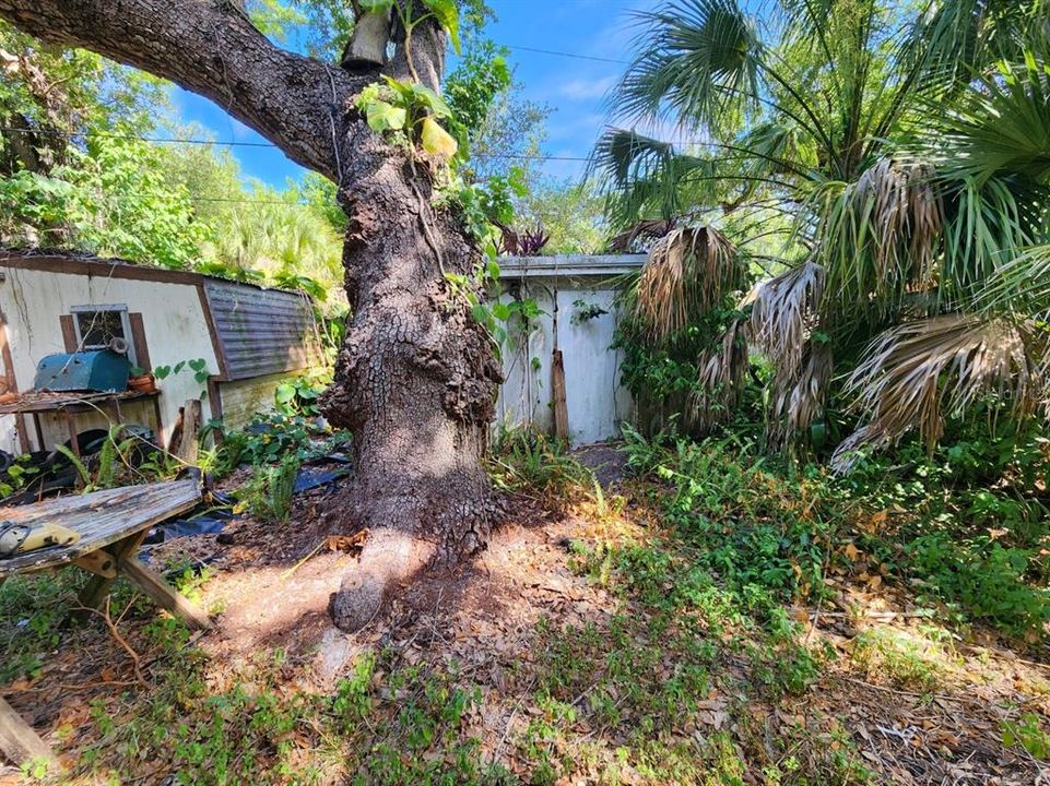 For Sale: $149,000 (0.28 acres)