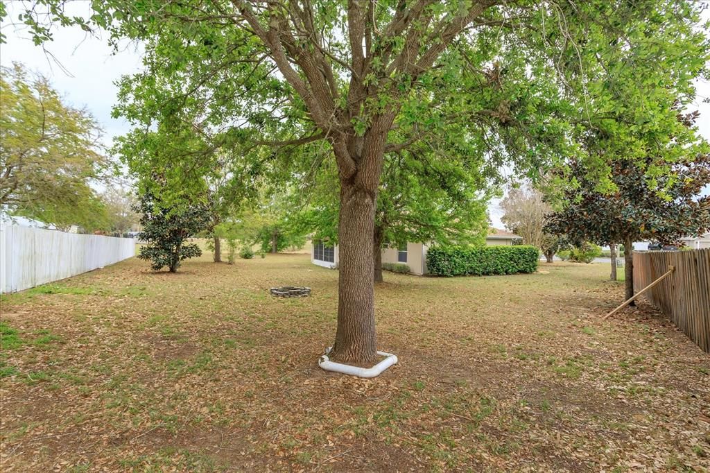 For Rent: $2,250 (3 beds, 2 baths, 1482 Square Feet)