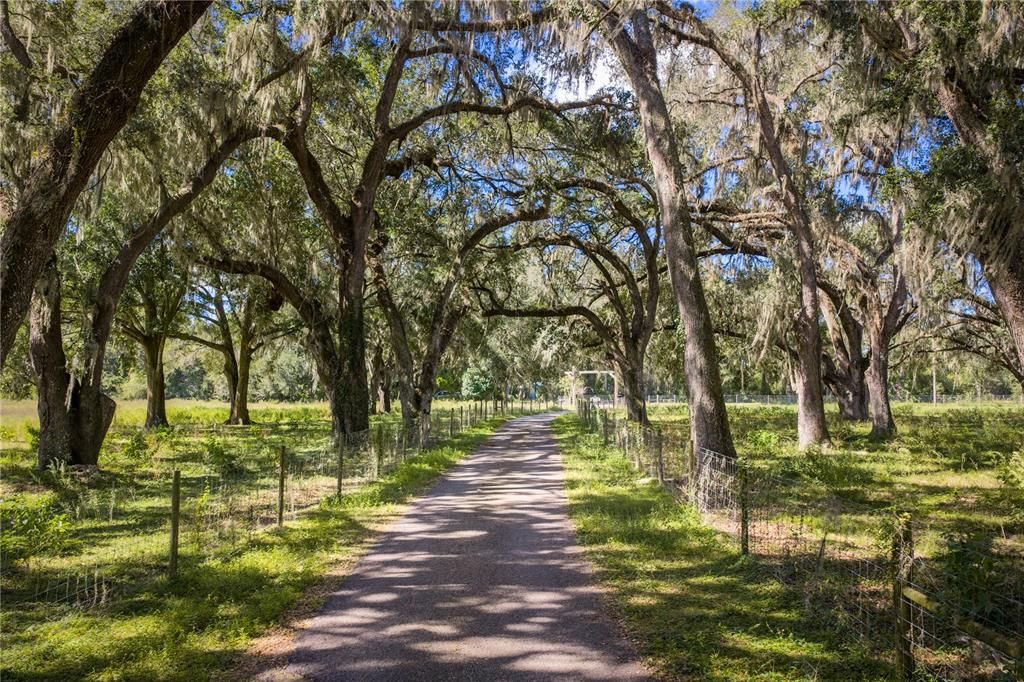 待售: $114,519 (0.65 acres)