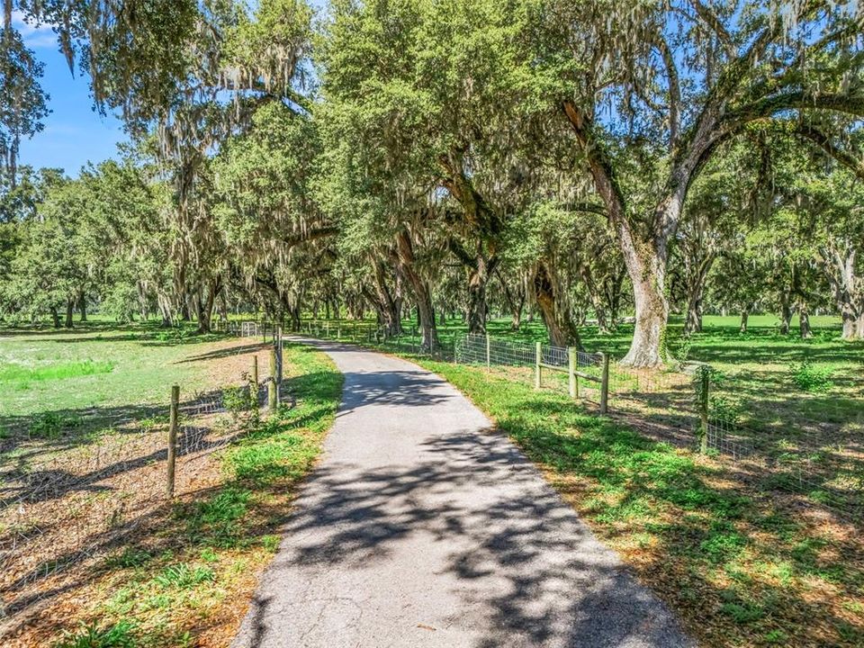 For Sale: $82,474 (0.52 acres)