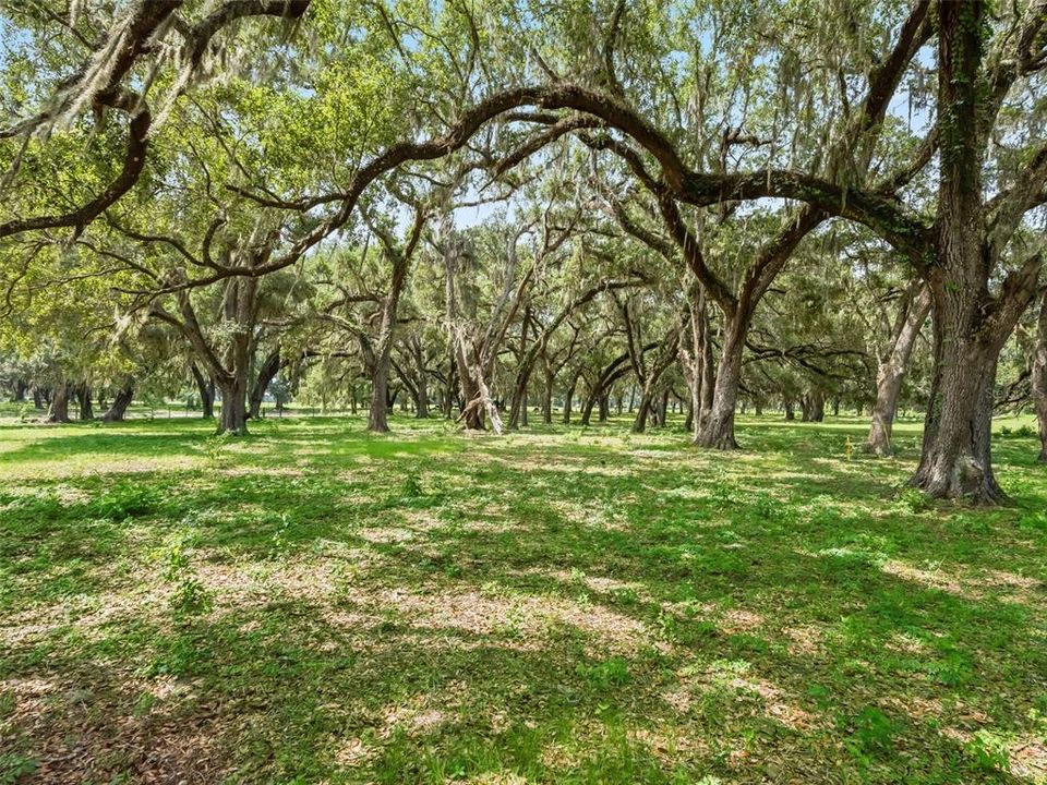 For Sale: $116,377 (0.66 acres)