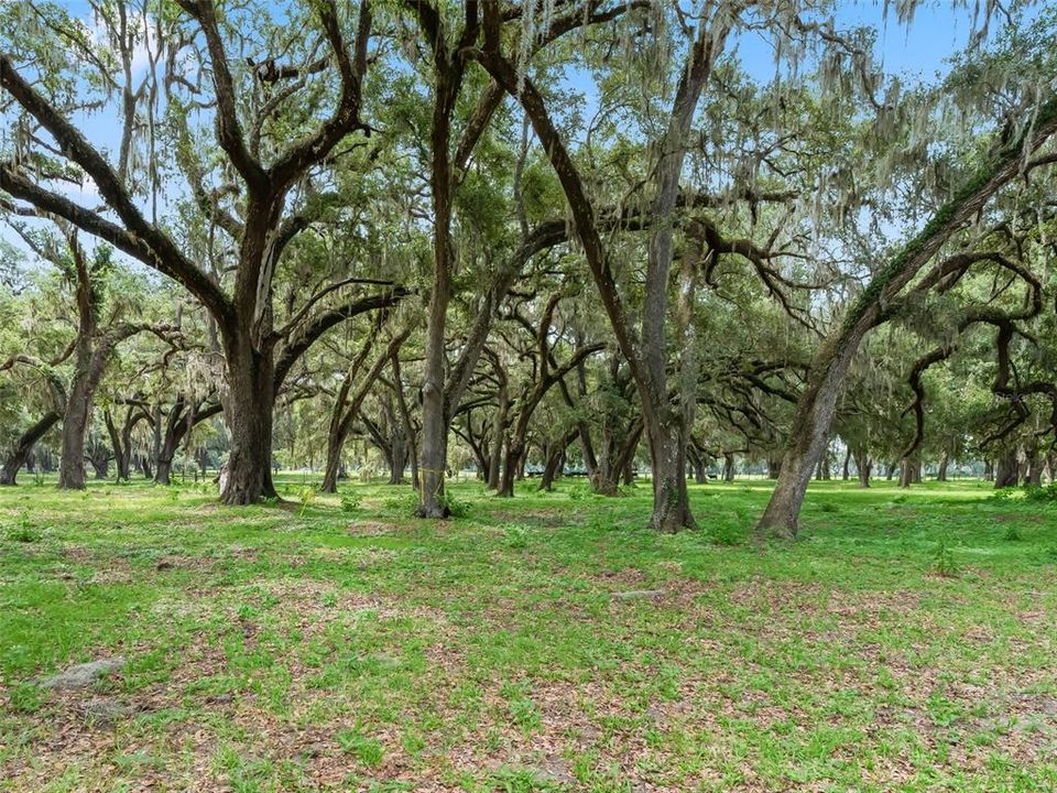 For Sale: $116,377 (0.66 acres)