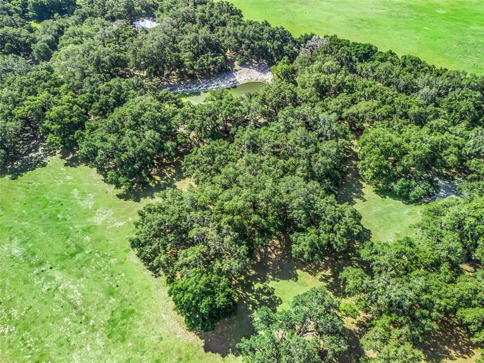 For Sale: $116,377 (0.66 acres)