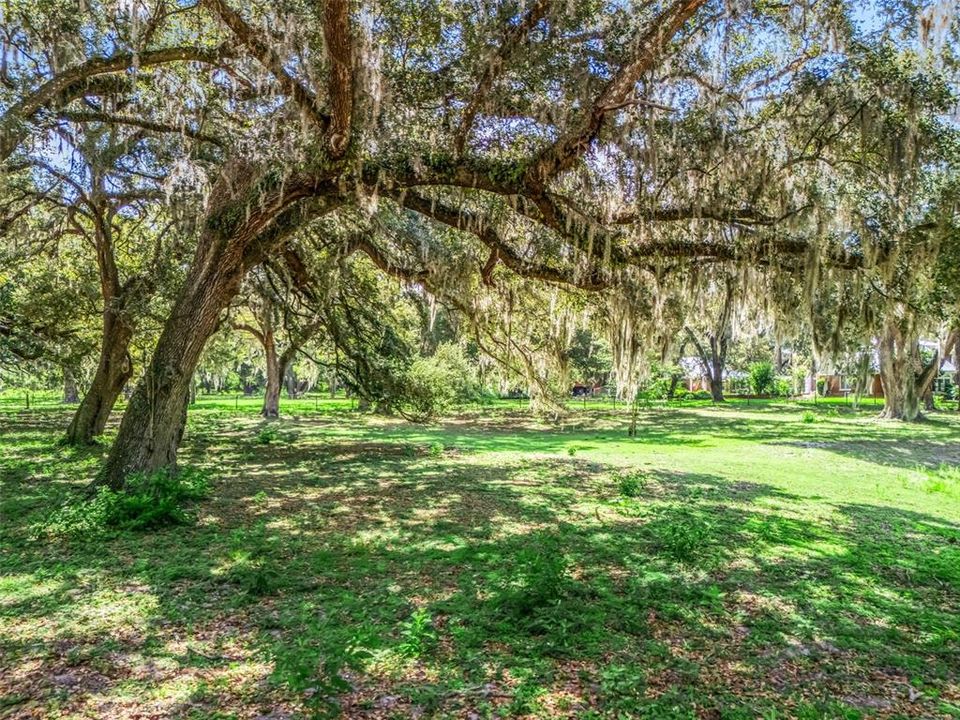 For Sale: $116,377 (0.66 acres)