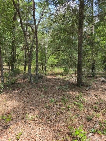 На продажу: $29,000 (0.48 acres)