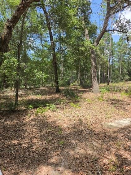 На продажу: $29,000 (0.48 acres)