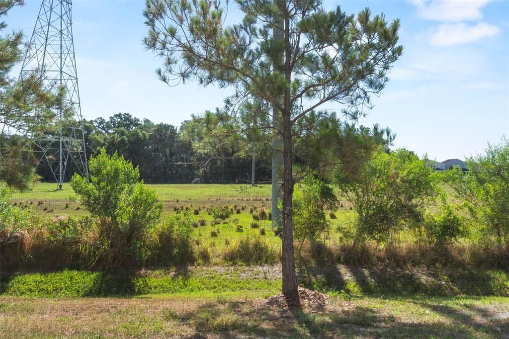 For Sale: $260,000 (3 beds, 2 baths, 1400 Square Feet)