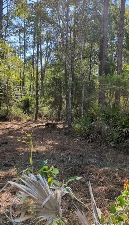 待售: $235,000 (10.70 acres)