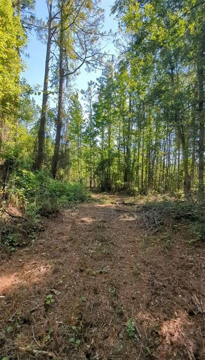 待售: $235,000 (10.70 acres)