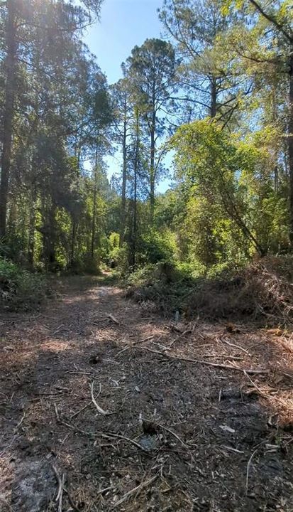 待售: $235,000 (10.70 acres)